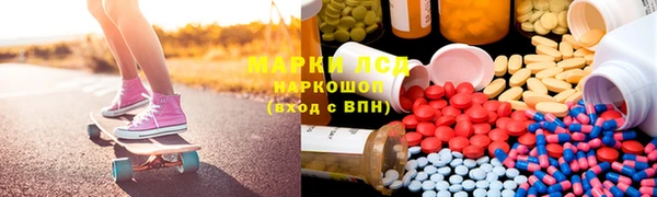 тгк Гусев