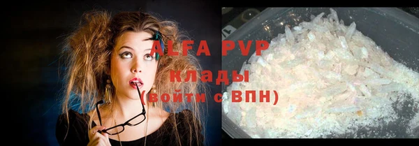 PSILOCYBIN Гусиноозёрск