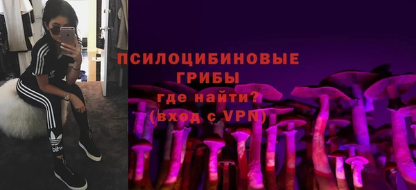 гидропоника Гусь-Хрустальный