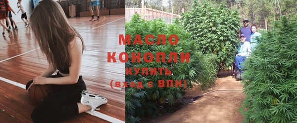 PSILOCYBIN Гусиноозёрск