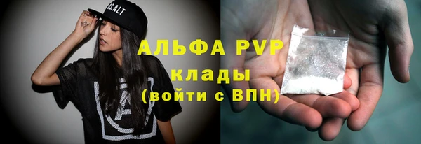 тгк Гусев