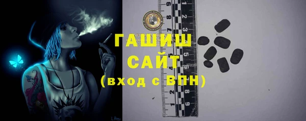 тгк Гусев