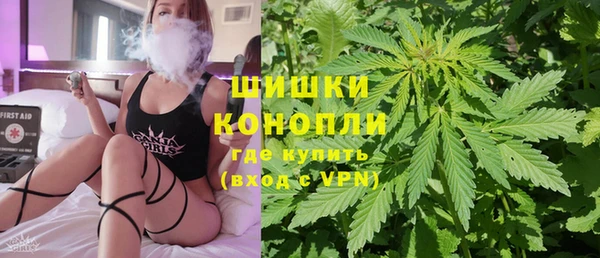 тгк Гусев