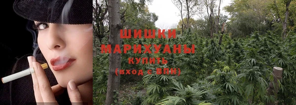 гидропоника Гусь-Хрустальный
