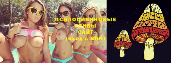 PSILOCYBIN Гусиноозёрск