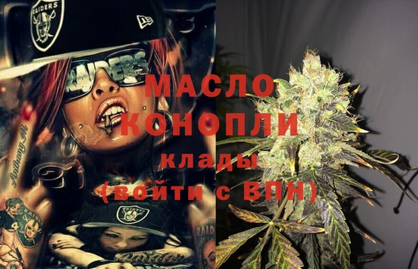 тгк Гусев