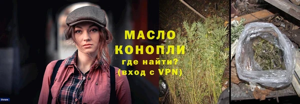 тгк Гусев
